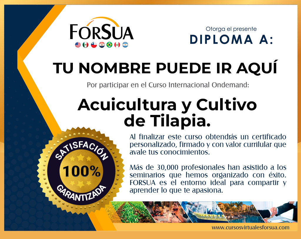 GERMANY, combined Basil and Tilapia fish farm of start up, the fish farm is  combined with green houses to cultivate vegetables irrigated with sewage  water from the fish ponds, the system is, image size:1024x815