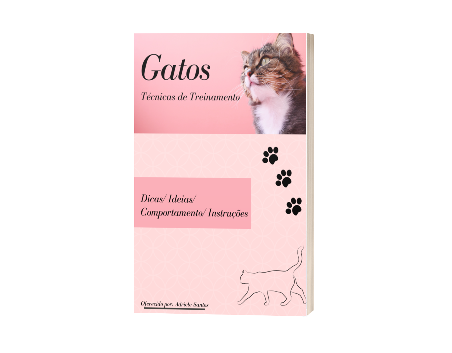 Técnicas de Treinamento para Felinos