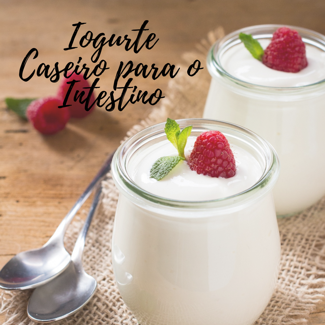 IOGURTE CASEIRO PARA O INTESTINO - OLIVIA CAETANO DOS SANTOS | Hotmart