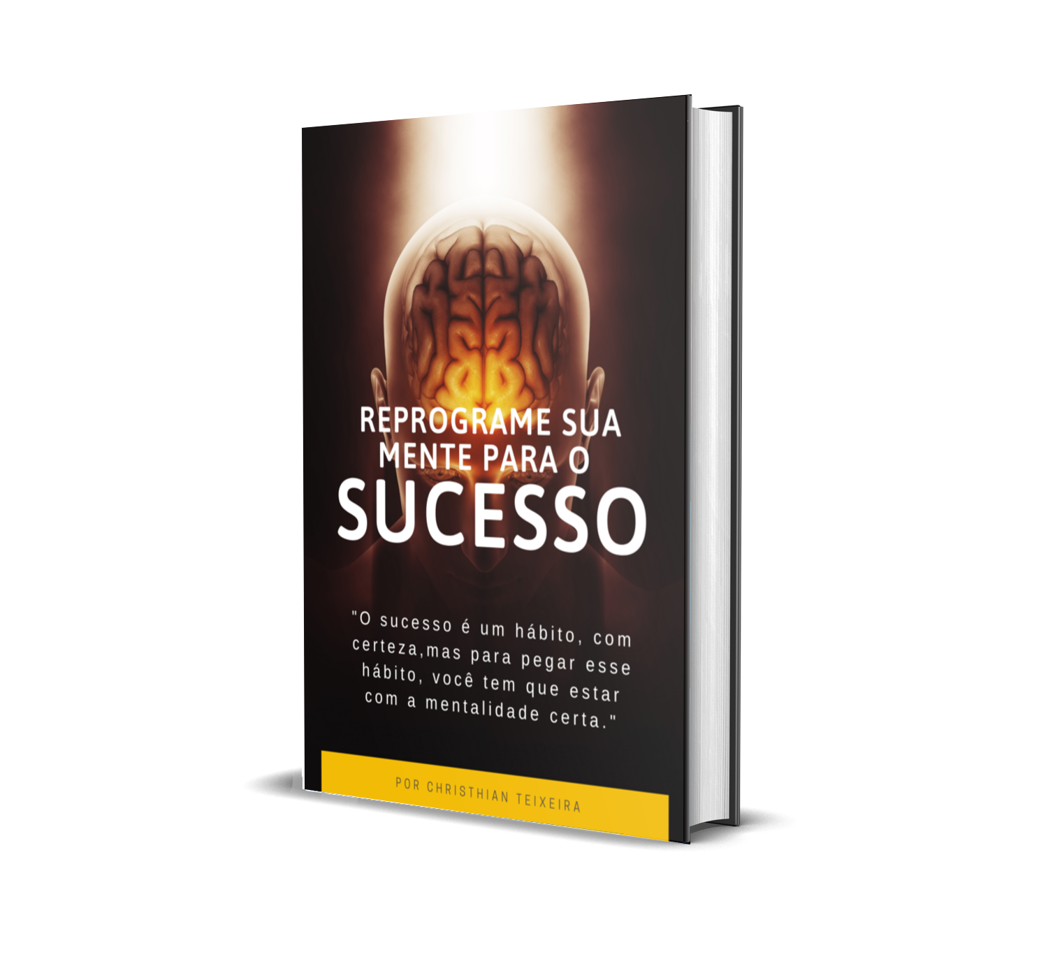 Reprograme Sua Mente Para O Sucesso - Christhian Teixeira | Hotmart