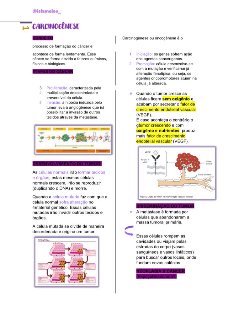 Imagem de capa para o Ebook Resumo de Carcinogênese e Avaliação Oncológica