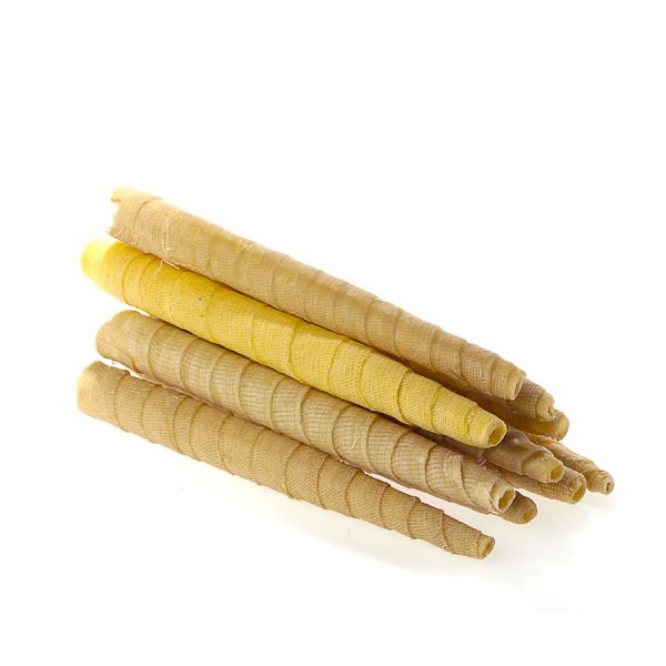 Curso de Cone Hindu