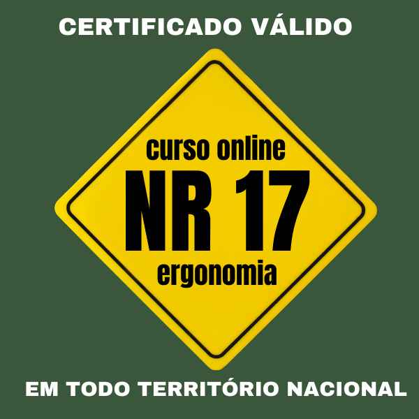 Curso de Ergonomia NR 17