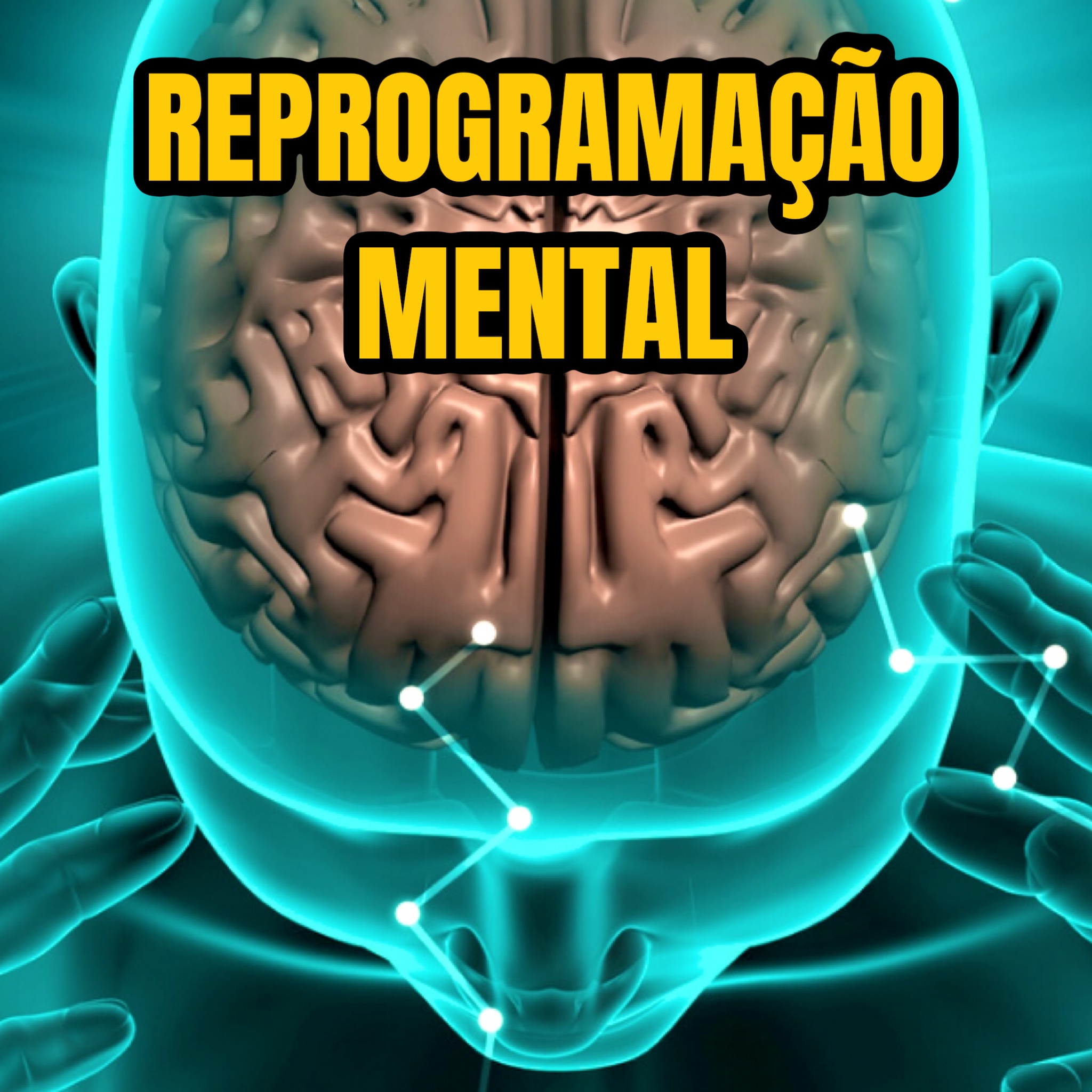 Reprogramação Mental - Adilson Zimmer | Hotmart