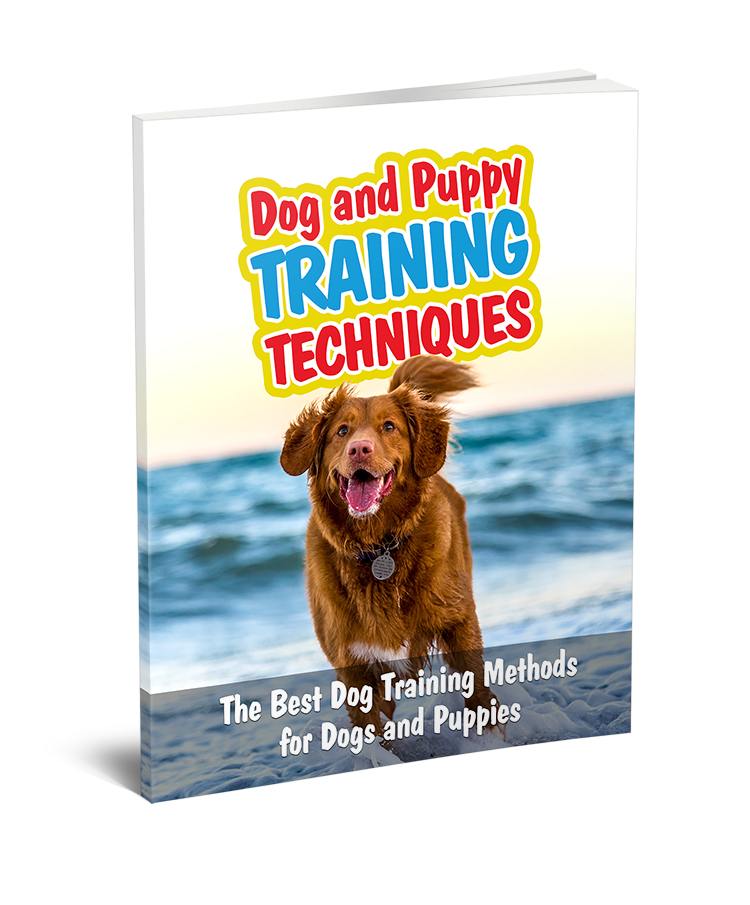 Dog and Puppy Training Techniques + FREE GIFT PET TOY KIT Ricardo