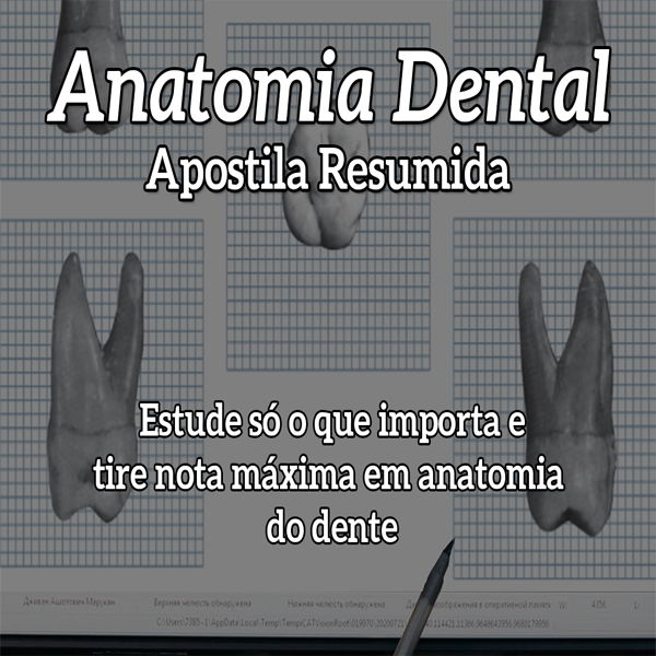 Anatomia Dental - Apostila Resumida - Estude Só o Que Importa e Tire Nota Máxima em Anatomia do Dente