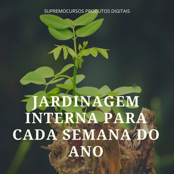 Jardinagem Interna para cada Semana do Ano