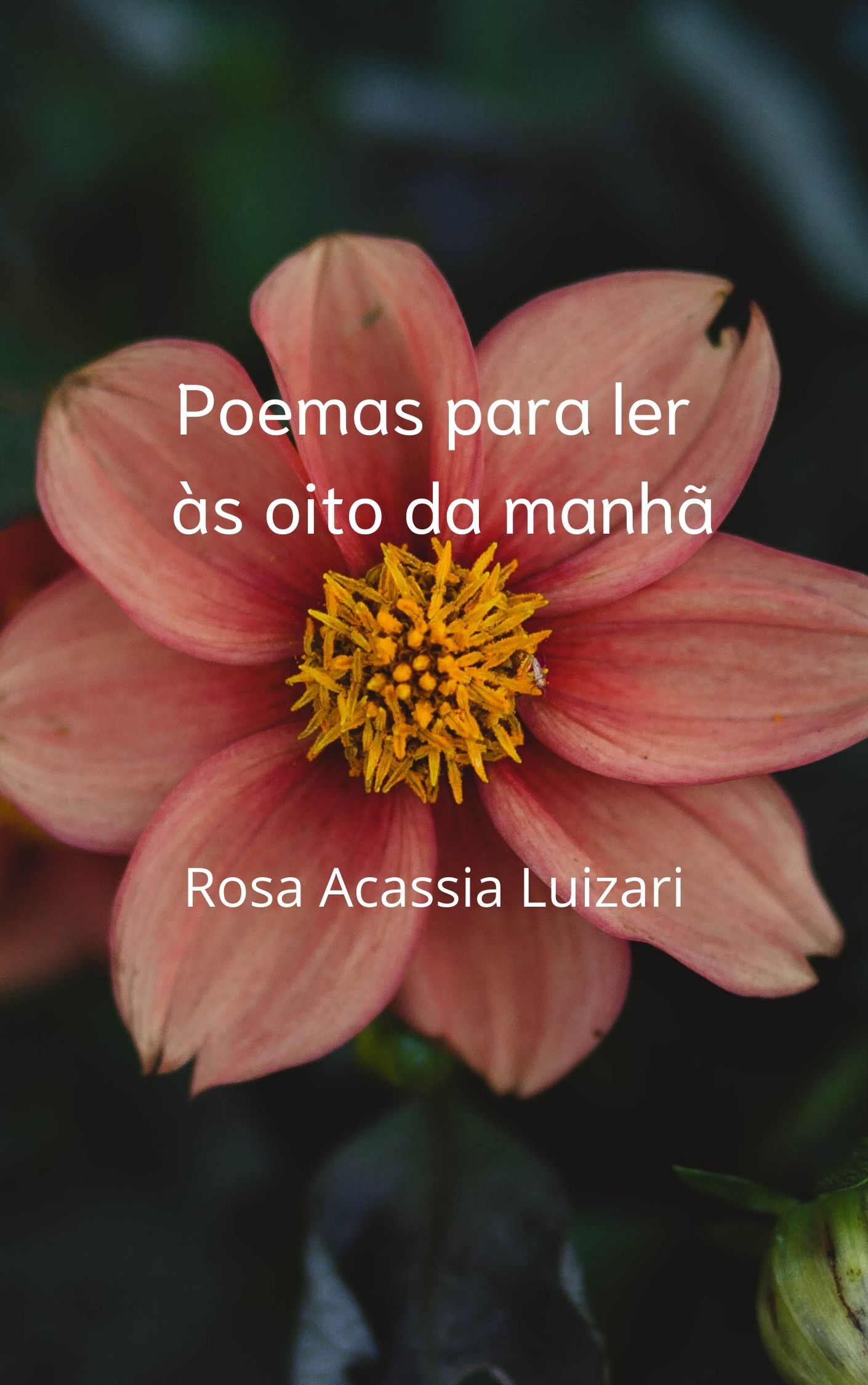 Poemas para ler às oito da manhã - Rosa Acassia Luizari | Hotmart