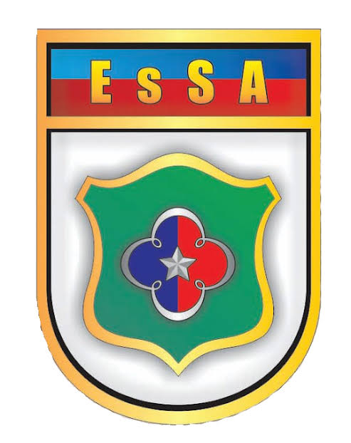 Apostila ESA 2020 - Curso de Formação de Sargentos