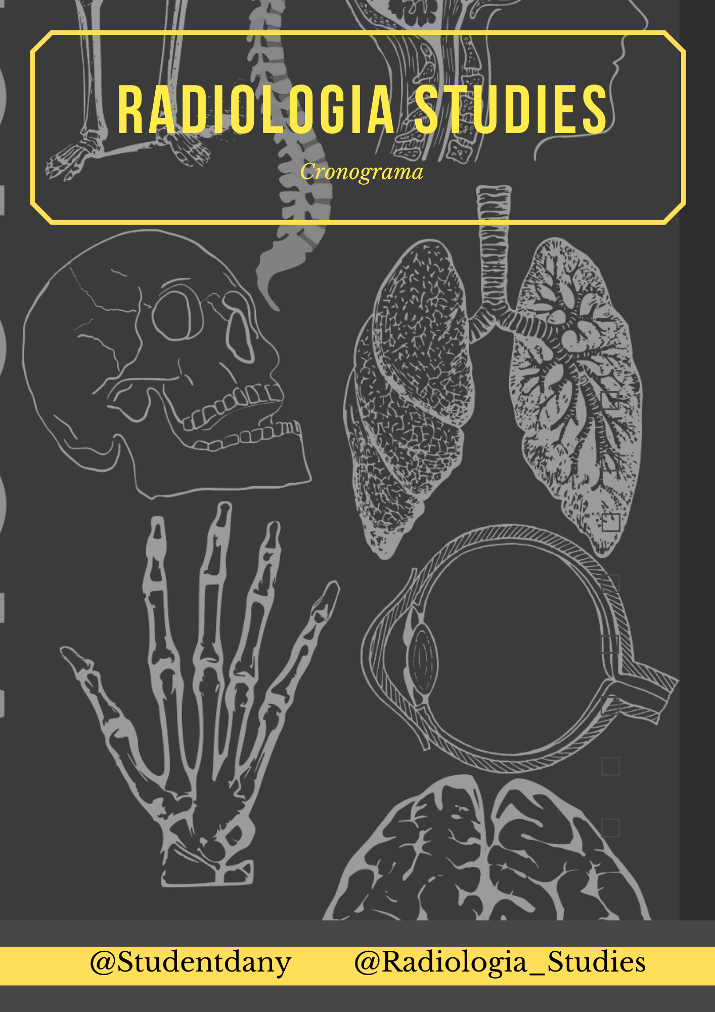 Cronograma Radiologia - Studentdany | Hotmart