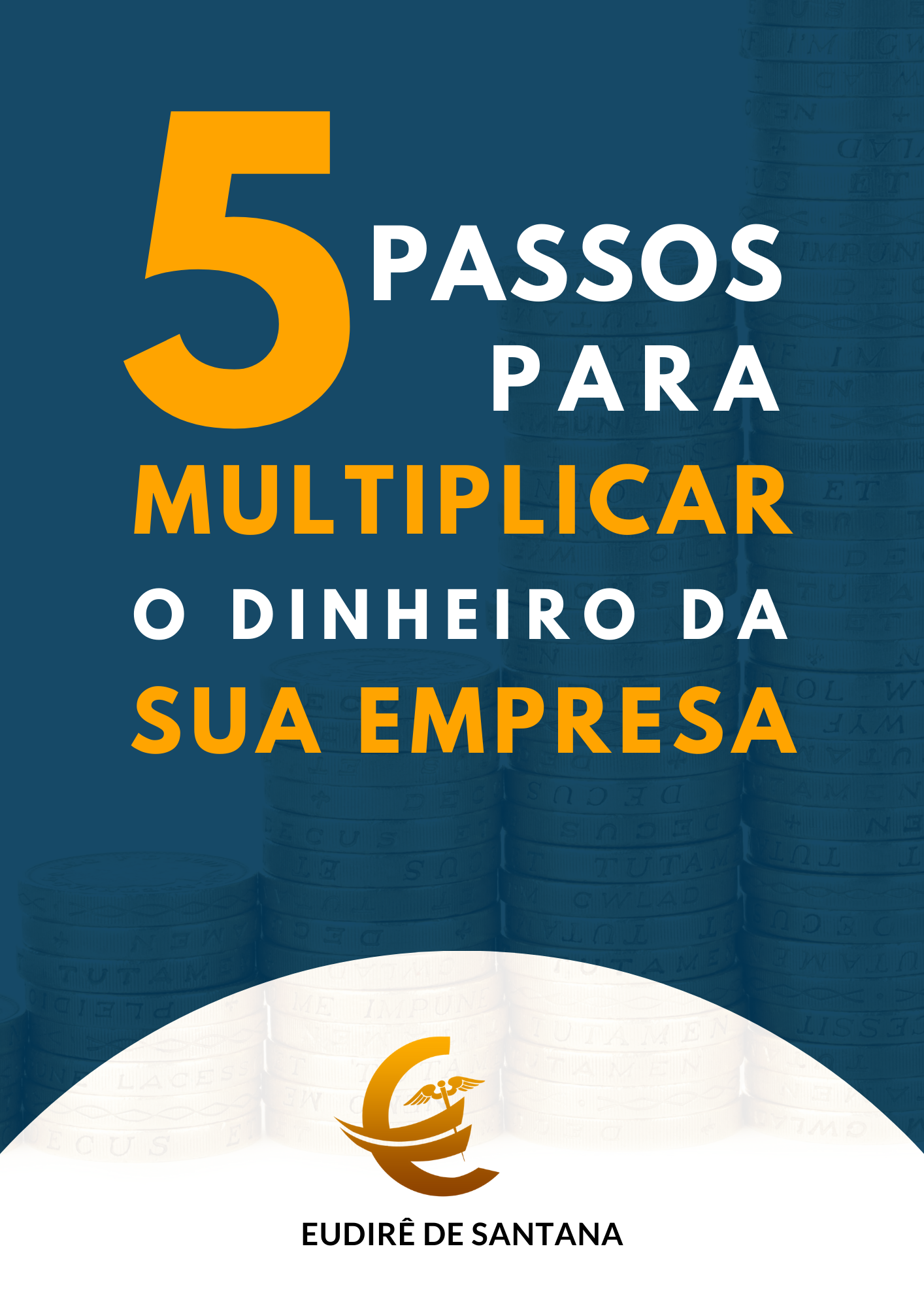 5 PASSOS PARA MULTIPLICAR O DINHEIRO DA SUA EMPRESA - EUDIRÊ DE SAN...
