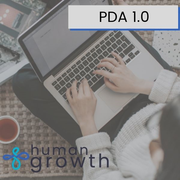 Imagen de portada para Curso online PDA 1.0 - Reporte & Video Explicativo General.