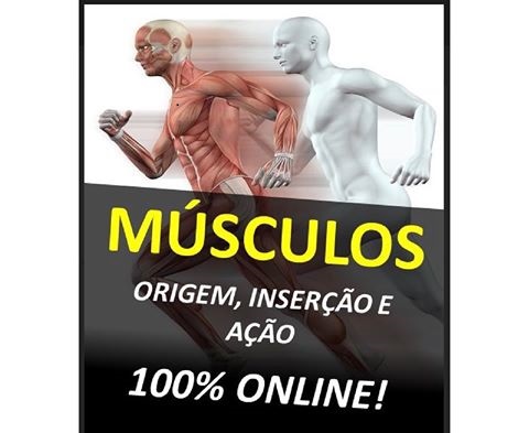 TABELA DE MÚSCULOS ORIGEM E INSERÇÃO