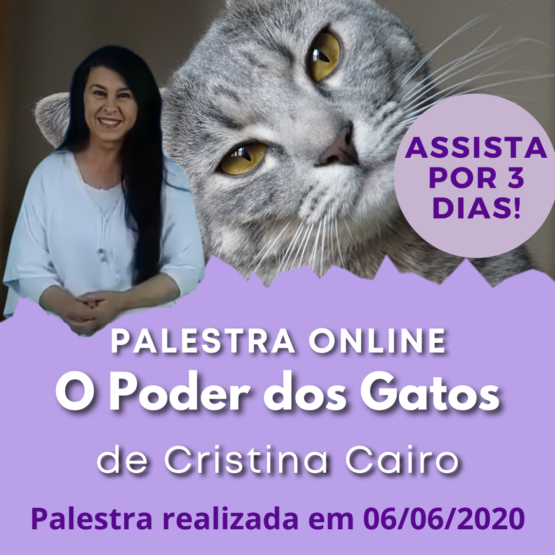 O Poder dos Gatos Cristina Cairo Escola De Linguagem do corpo e