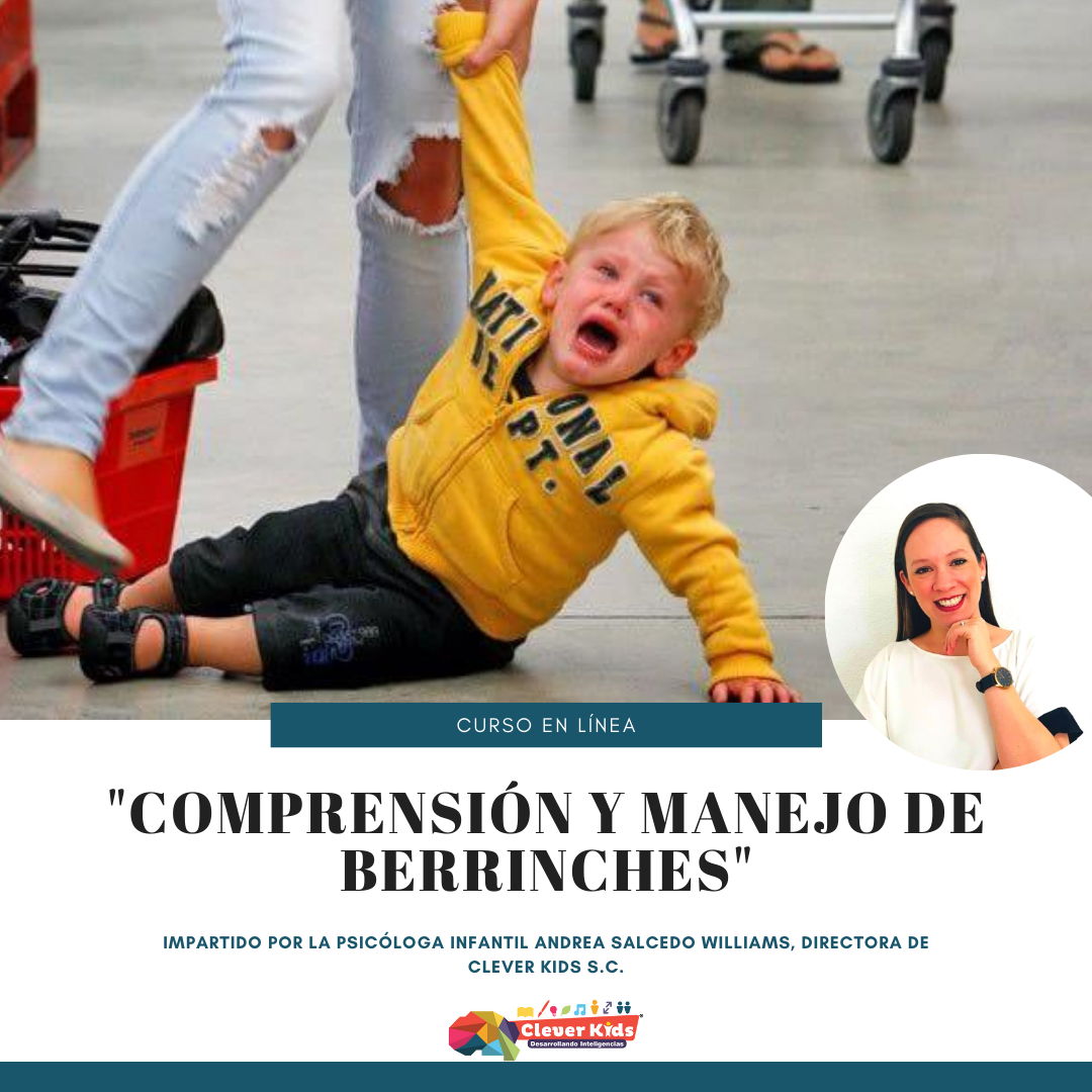 Imagen de portada para Curso online Comprensión y Manejo de Berrinches 