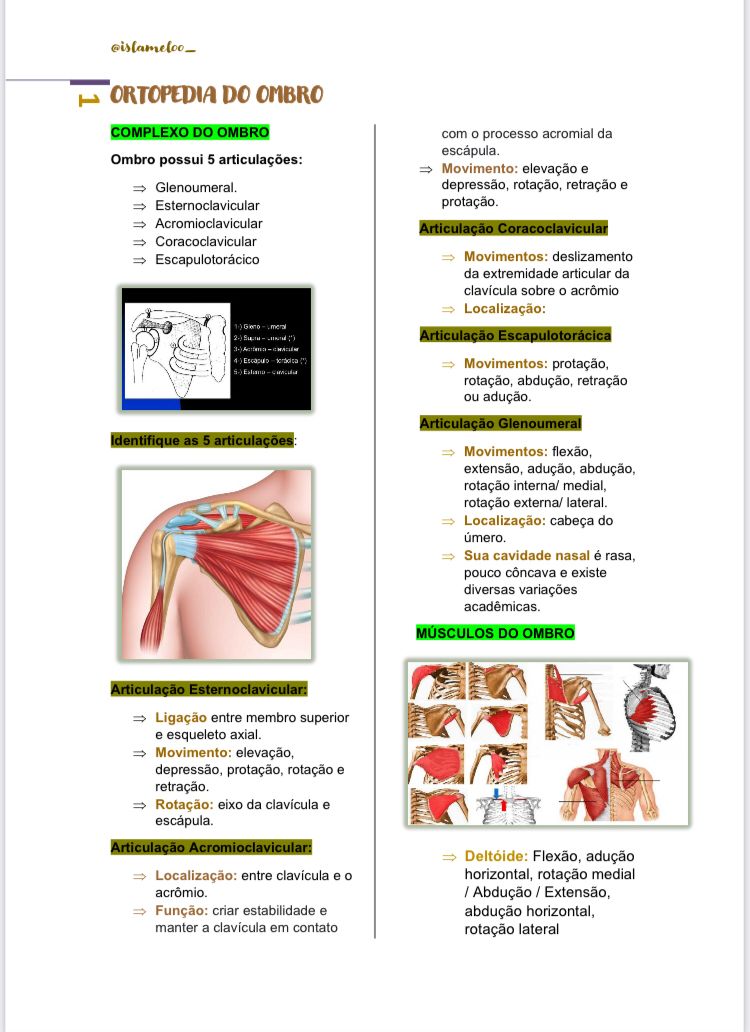 Imagem de capa para o Ebook Resumo de ortopedia do ombro, cotovelo, punho e mão