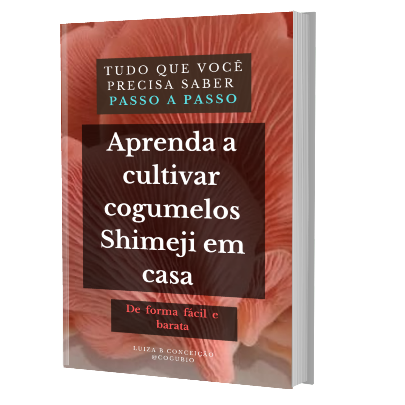 Aprenda a cultivar cogumelos Shimeji em casa Luiza B Conceição Hotmart