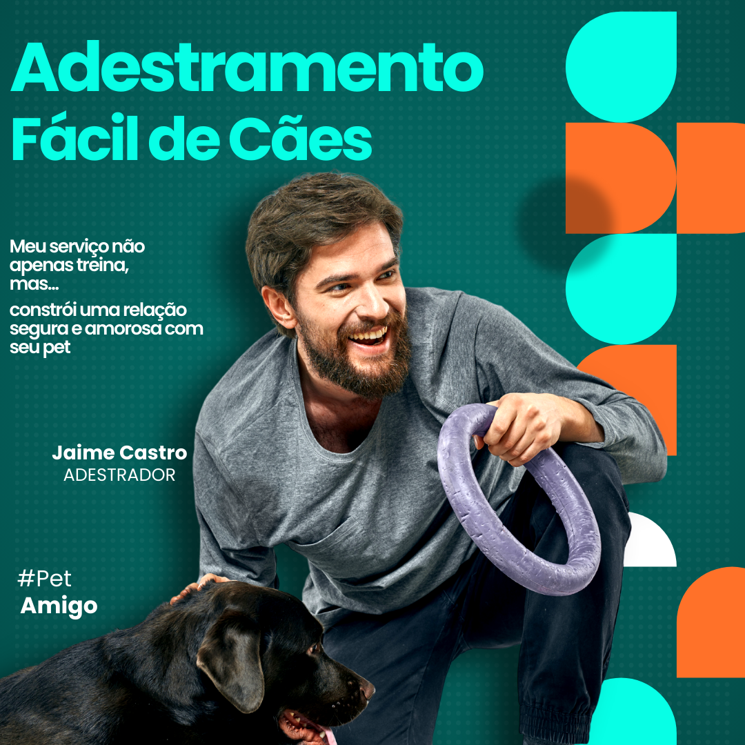Adestramento de Cães - Curso de Adestramento de Cães - Everson Silv...