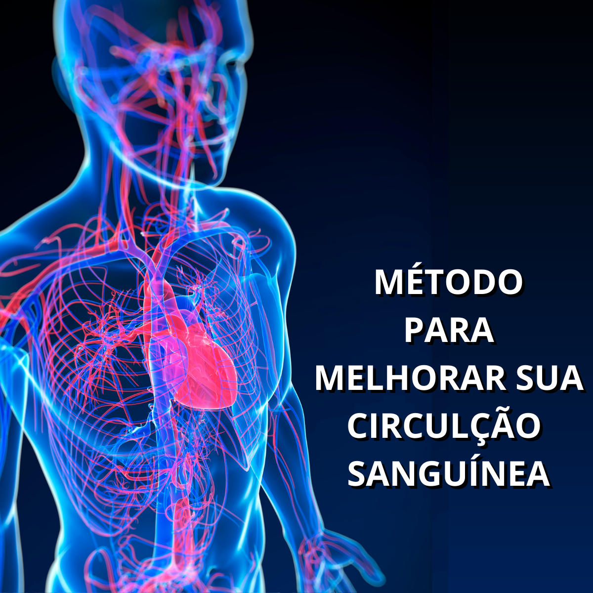 Método para melhorar sua circulação sanguínea. - João Victor Gomes ...