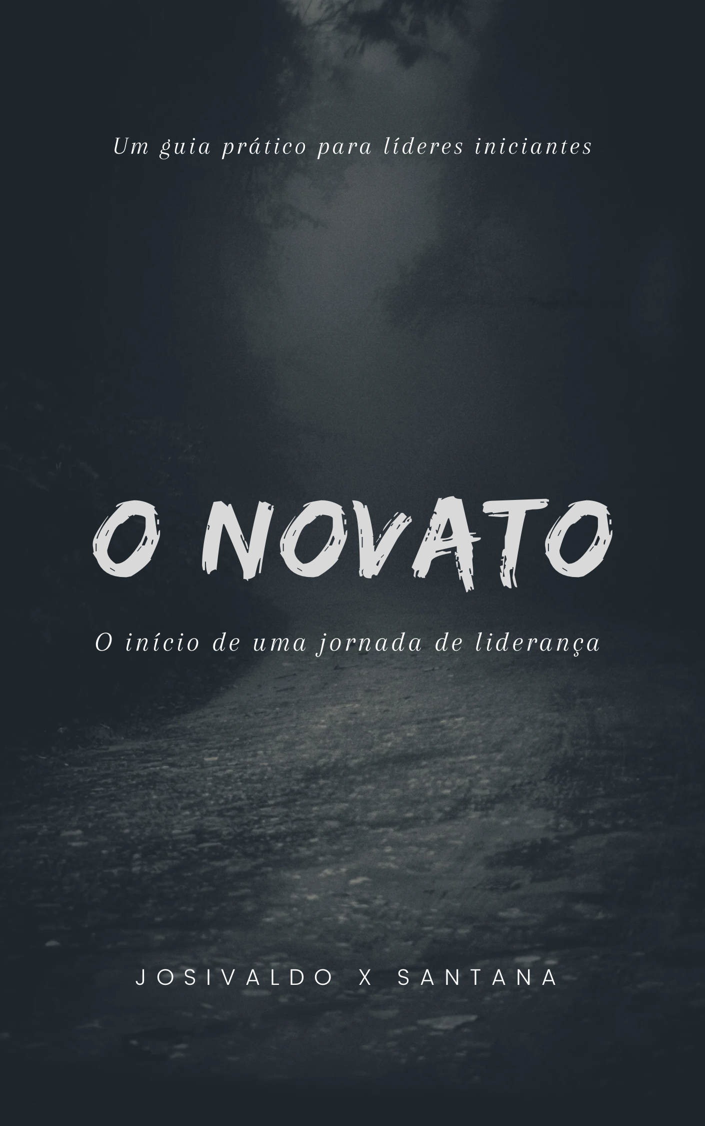 O NOVATO - O início de uma jornada de liderança