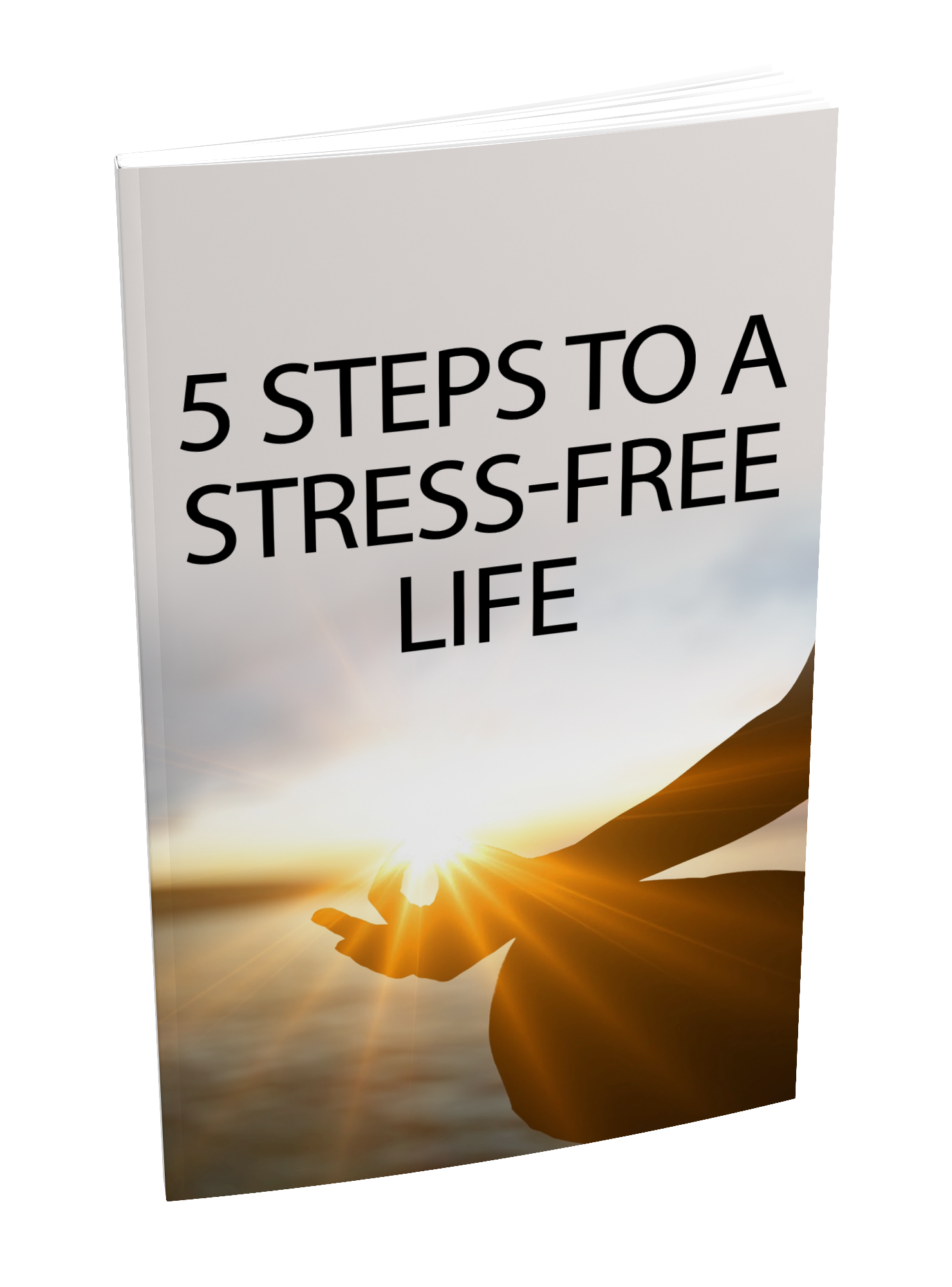 5 Steps To A StressFree Life(00)