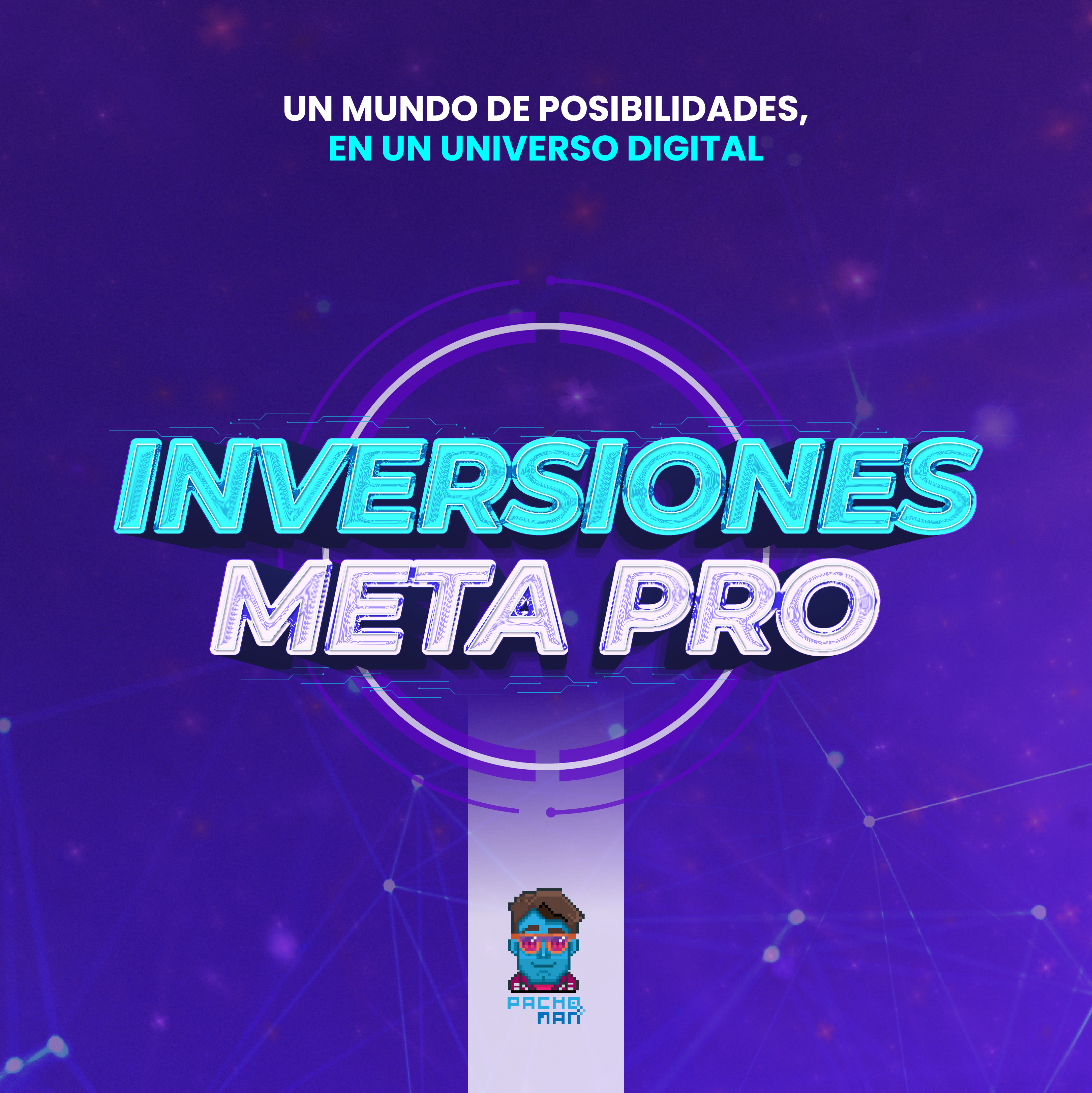 INVERSIONES META PRO