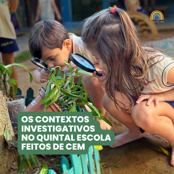 Os contextos investigativos no Quintal Escola Feitos de Cem - Quint...