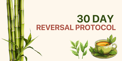 The 30 Day Protocol | Hotmart