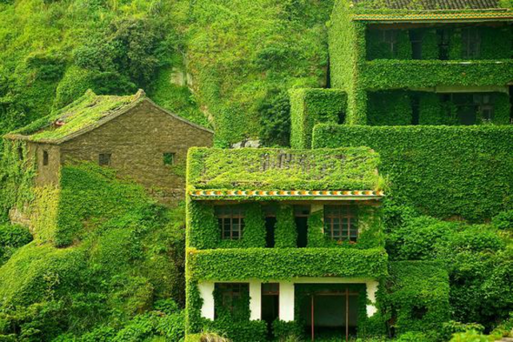 CERTIFICACIÓN EN CONSTRUCCIÓN DE CASAS ECOLÓGICAS Y AUTOSUFICIENTES