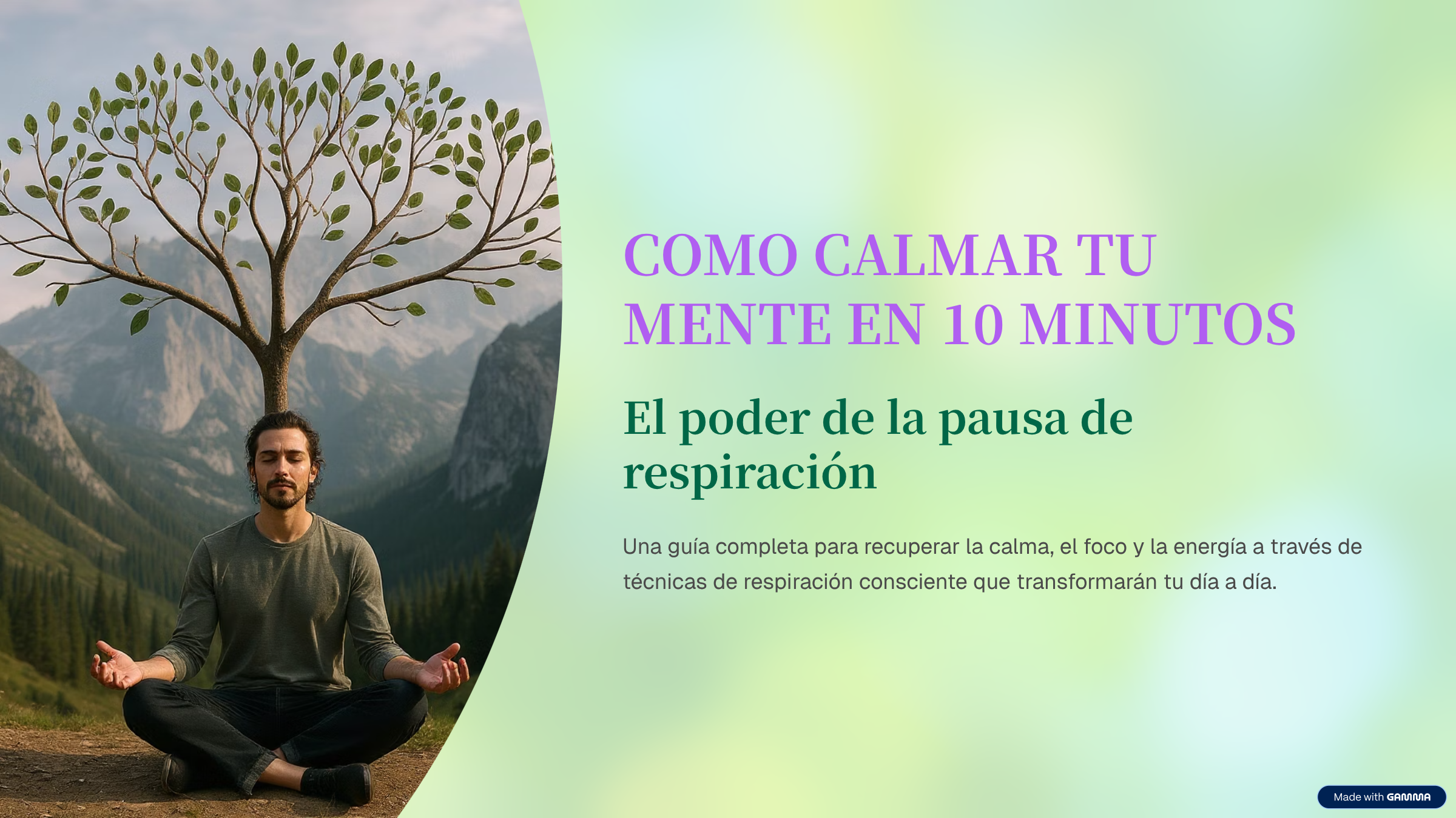 COMO CALMAR TU MENTE EN 10 MINUTOS - ELBA ALEJANDRA SILVA | Hotmart