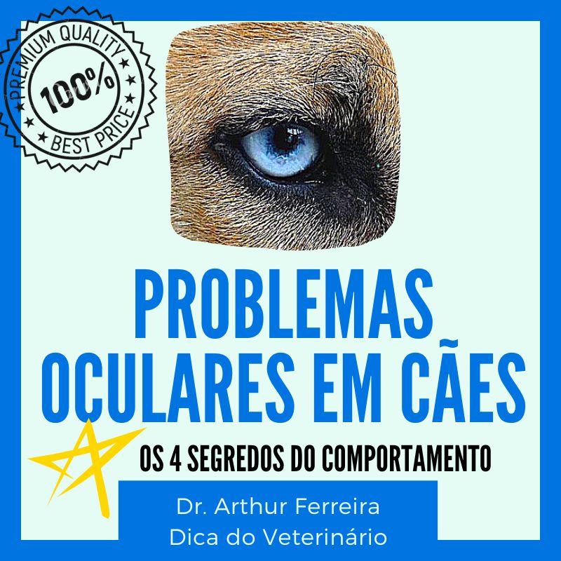 Imagem de capa para o Curso online Como Acabar com Problemas Oculares em Cães - Remela e Secreção nos Olhos