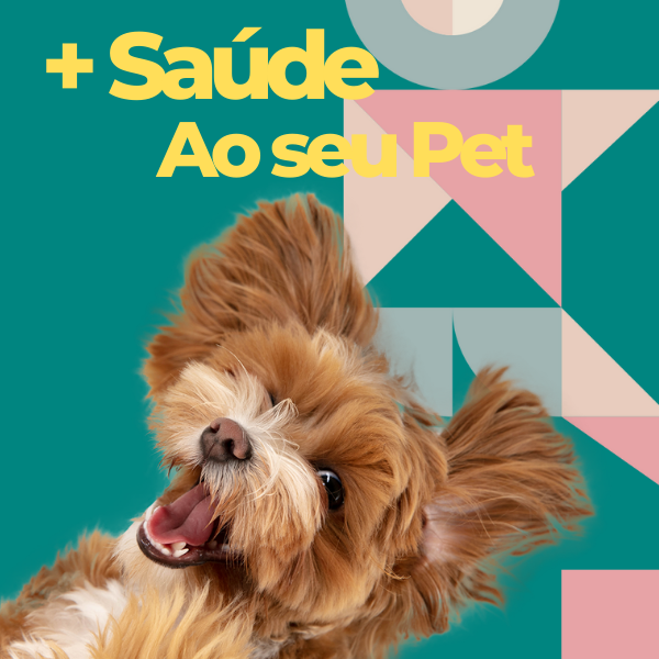 + Saúde ao seu pet; Como manter o animal saudável e protegido de doenças