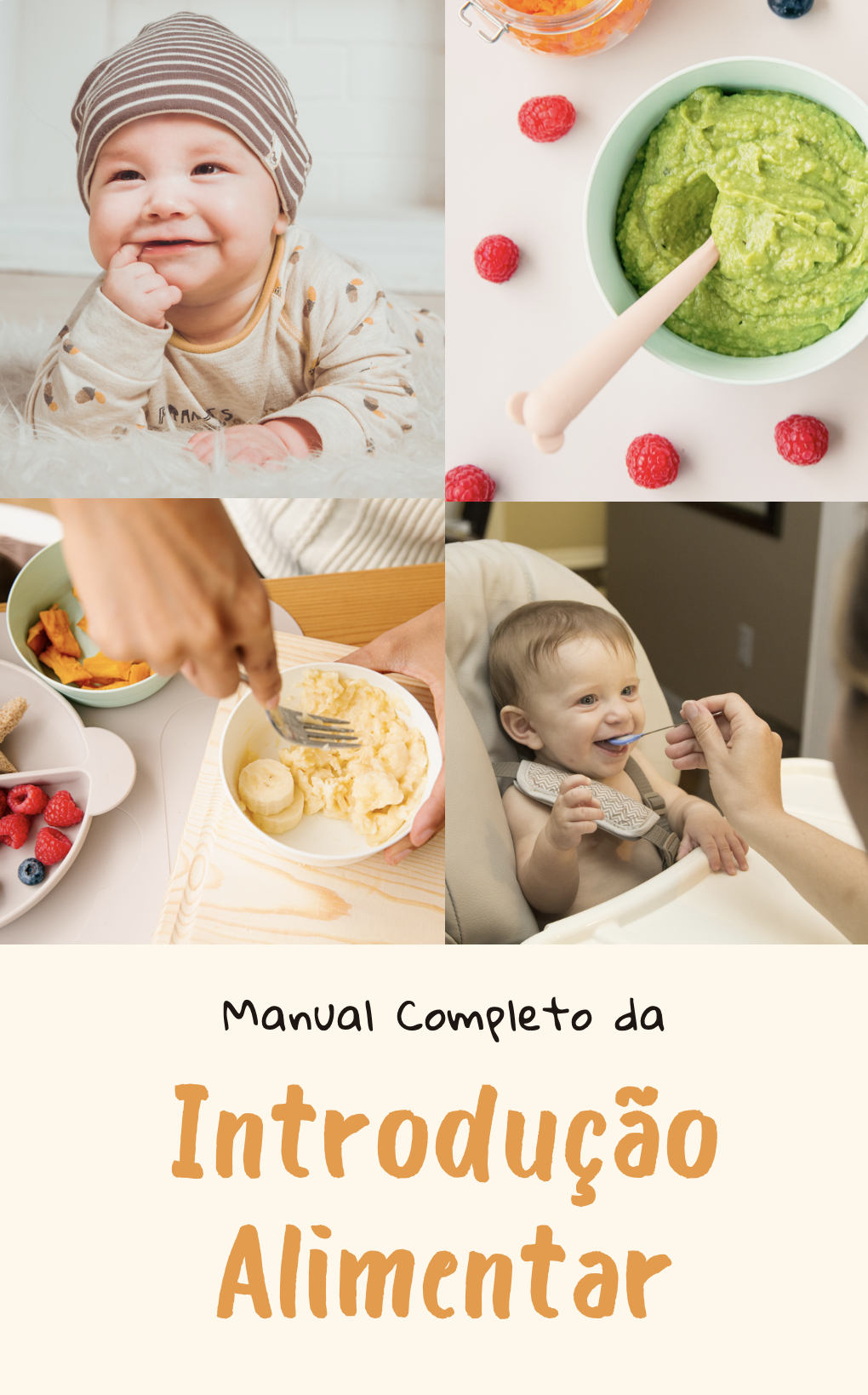 Manual Completo da Introdução Alimentar - Luiz Fernando de Freitas ...