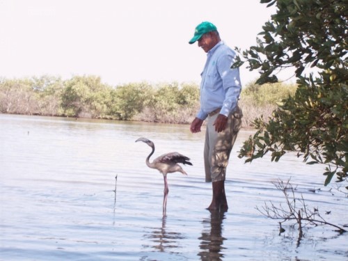 GUARDAFAUNA E INSTRUCTOR DE VIDA SILVESTRE