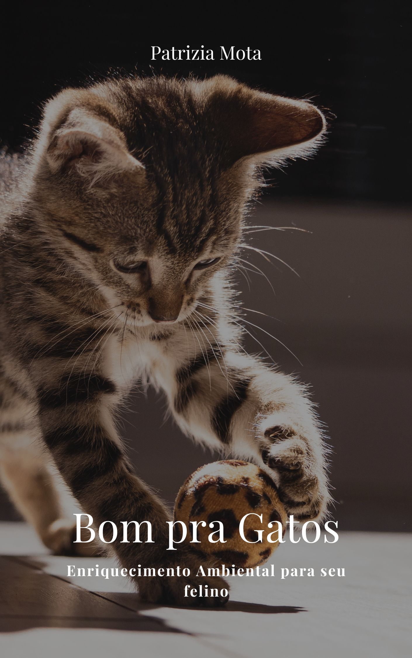 Bom Pra Gatos Enriquecimento Ambiental Para Seu Felino Patrizia bom-pra-gatos-enriquecimento-ambiental-para-seu-felino-patrizia