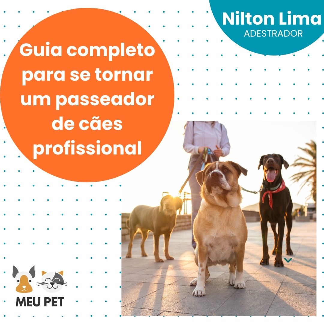 Guia Completo Para Se Tornar Um Passeador De C es Profissional Pa guia-completo-para-se-tornar-um-passeador-de-c-es-profissional-pa