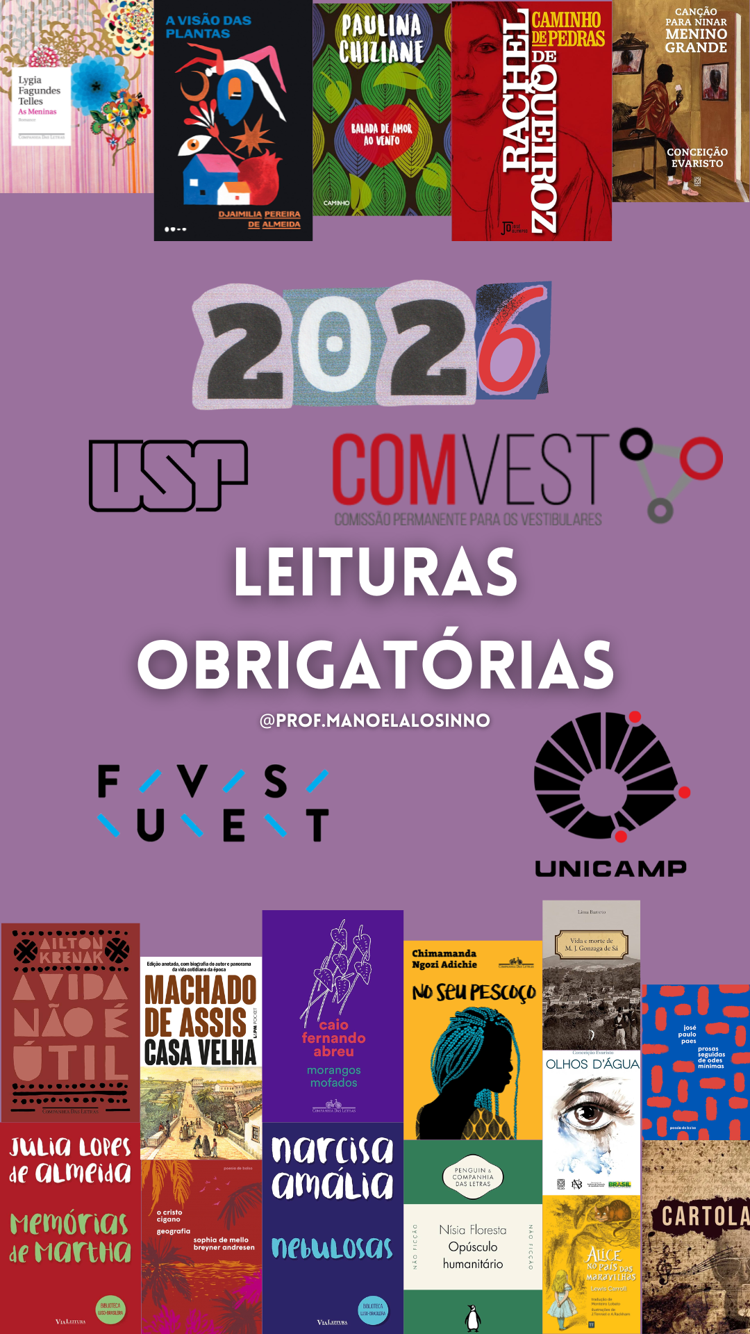Cronograma de leitura: FUVEST e UNICAMP 2026 - Manoela Losinno | H...