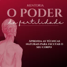 Mentoria individual 6 meses + Grupo e suporte