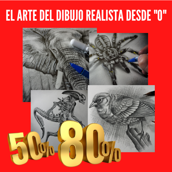 DE PRINCIPIANTE A SUPERDIBUJANTE DEL DIBUJO REALISTA