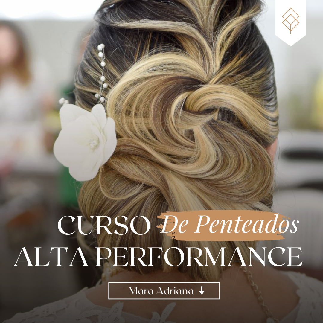 Curso de Penteados de Alta Performance - Mara Adriana Penteados