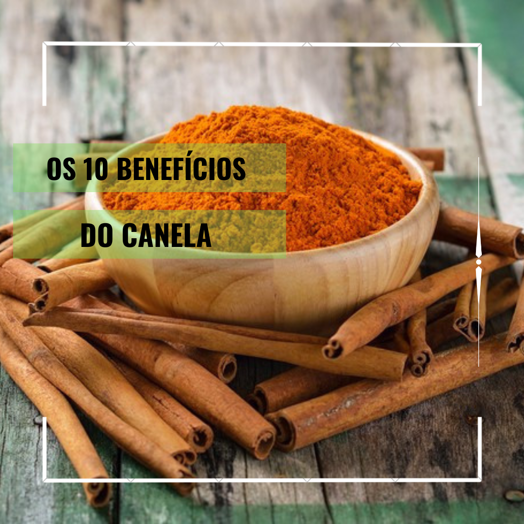 Os 10 benefícios da canela - Sara Andressa | Hotmart
