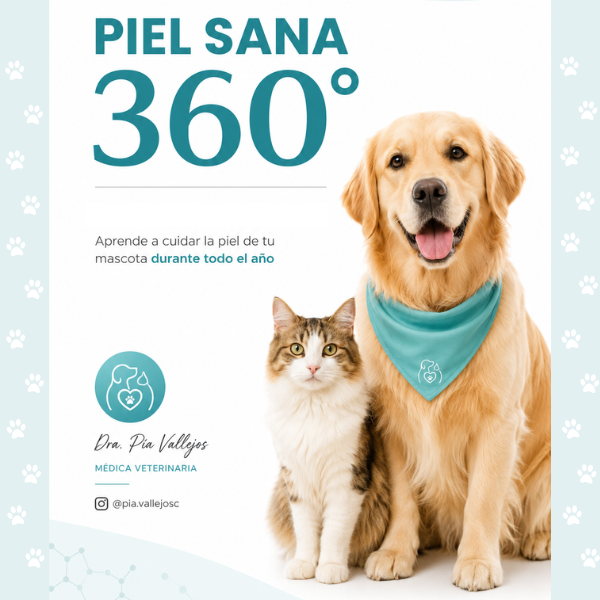 Piel Sana 360° - Curso Online