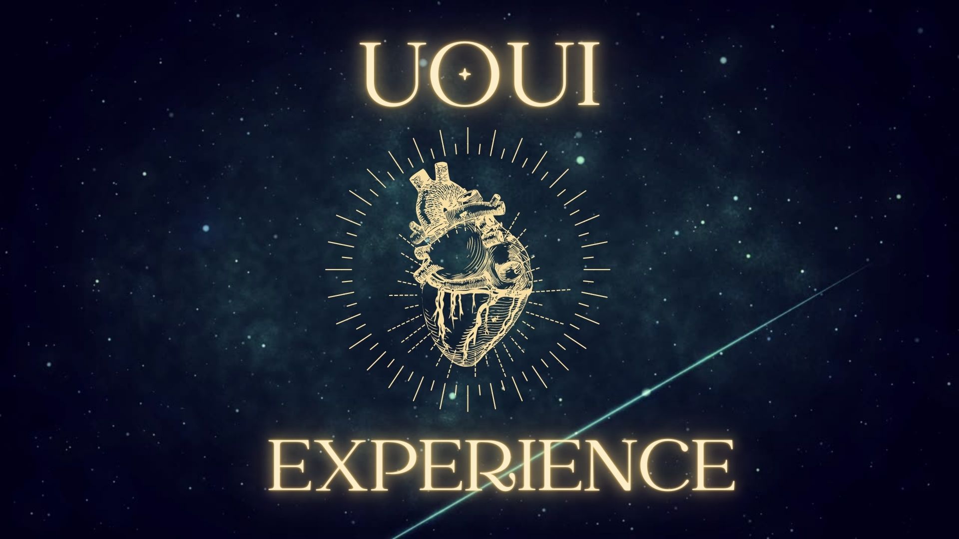 UOUI EXPERIENCE
