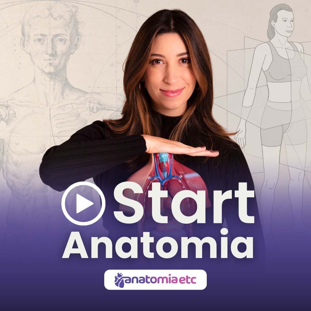 START ANATOMIA: Curso de introdução à Anatomia - Anatomia etc - Ana...