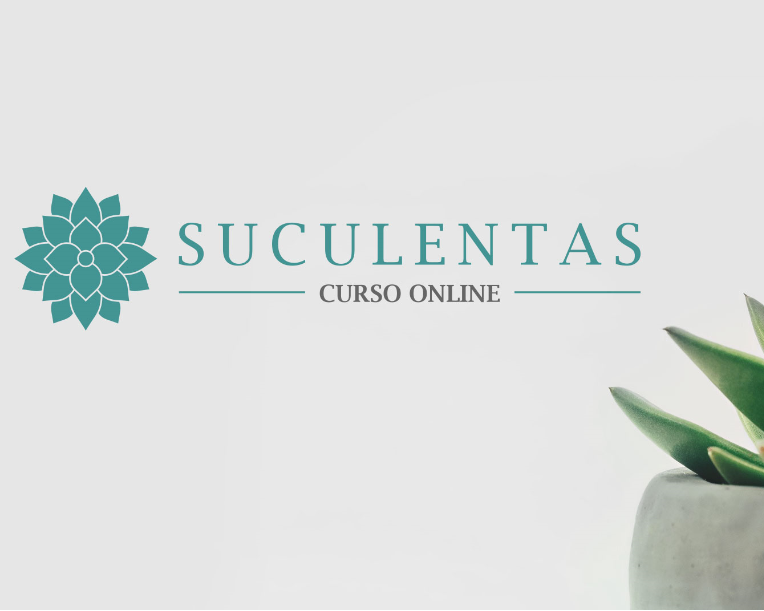 Imagen de portada para Curso online Curso Online Sobre el Cultivo de Suculentas