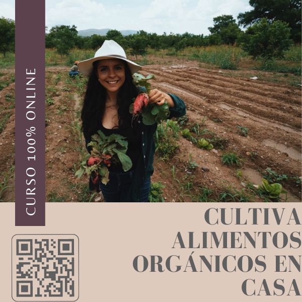 CULTIVA TUS ALIMENTOS ORGÁNICOS EN CASA