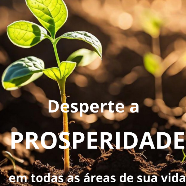 Desperte a Prosperidade Em Todas As Áreas De Sua Vida