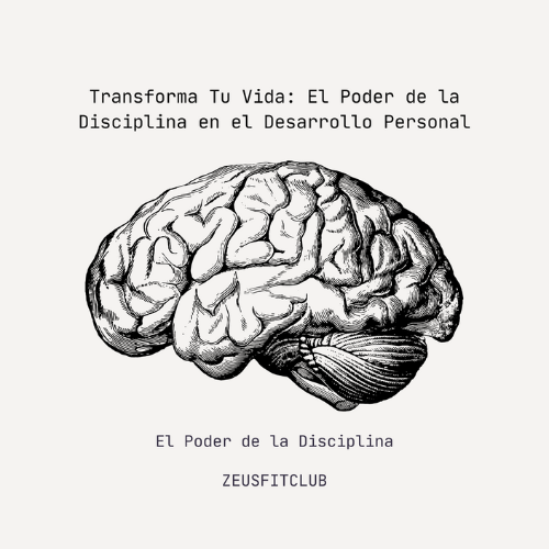 Transforma Tu Vida: El Poder de la Disciplina en el Desarrollo Pers...