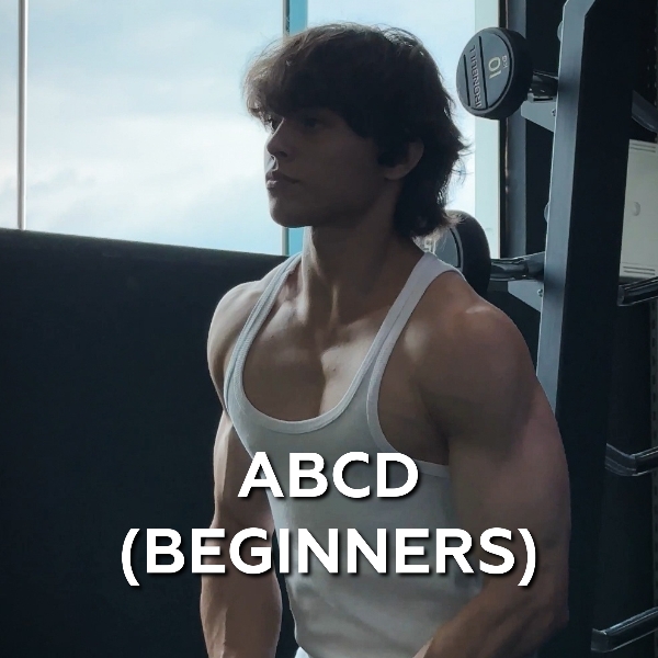 Workout - ABCD (Beginners) | Hotmart