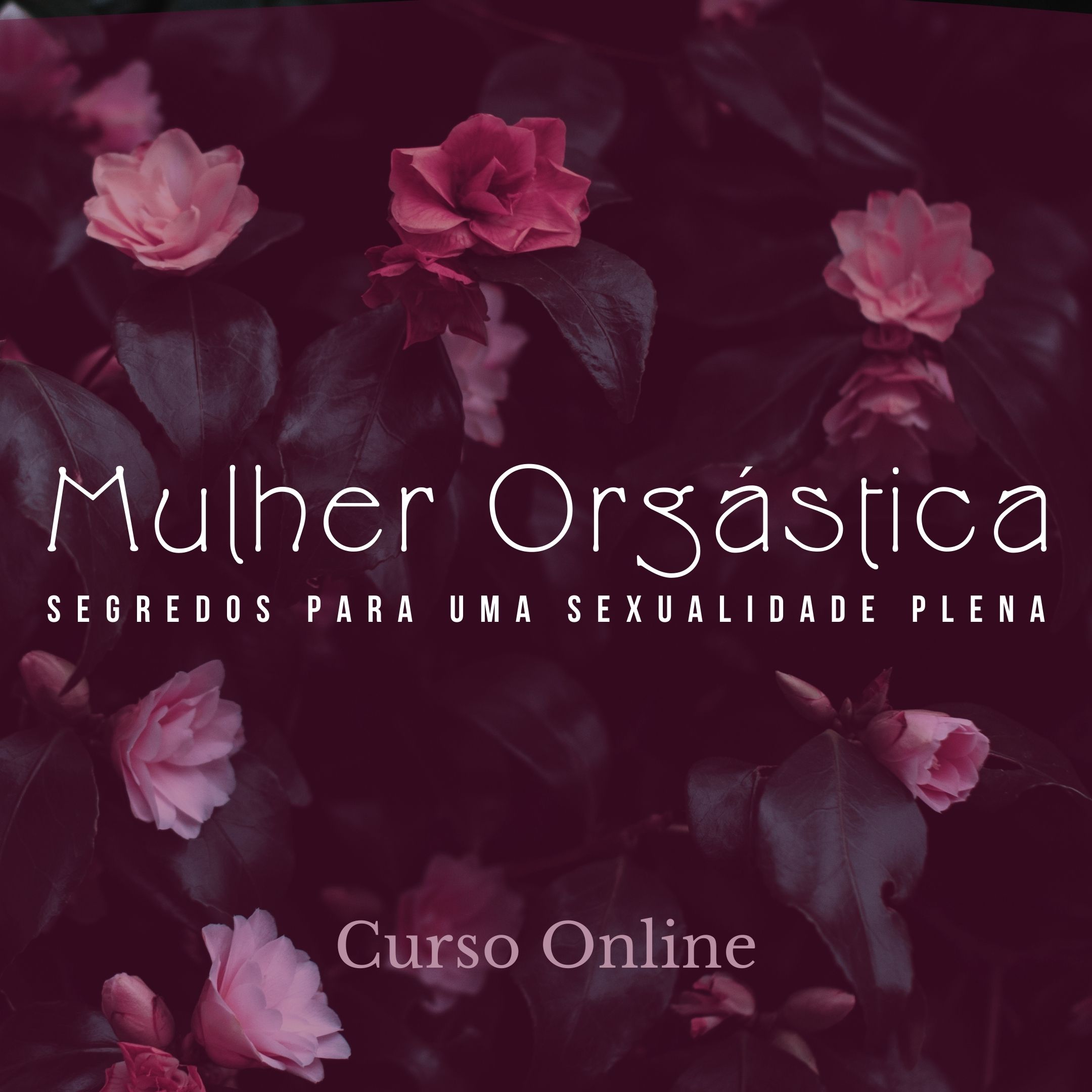 Imagem de capa para o Curso online Mulher Orgástica